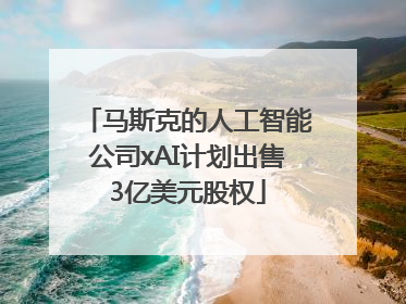 马斯克的人工智能公司xAI计划出售3亿美元股权