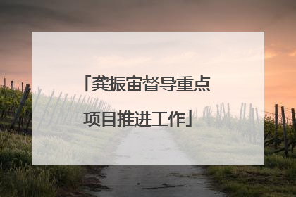 龚振宙督导重点项目推进工作