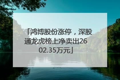 鸿博股份涨停，深股通龙虎榜上净卖出2602.35万元