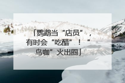 鹦鹉当“店员”，有时会“吃醋”！“鸟咖”火出圈