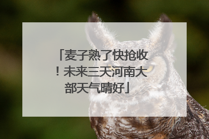 麦子熟了快抢收！未来三天河南大部天气晴好