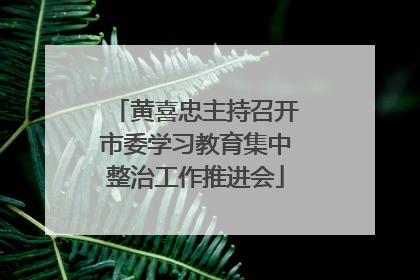 黄喜忠主持召开市委学习教育集中整治工作推进会