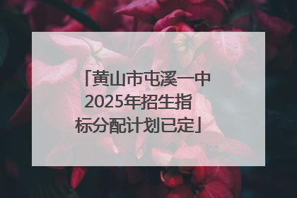 黄山市屯溪一中2025年招生指标分配计划已定