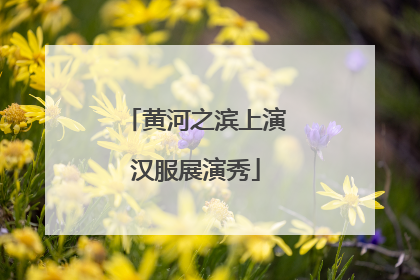 黄河之滨上演汉服展演秀