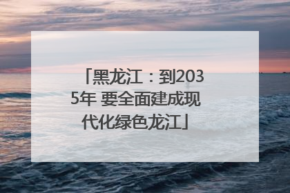 黑龙江：到2035年 要全面建成现代化绿色龙江