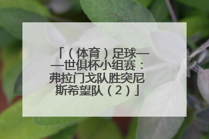 （体育）足球——世俱杯小组赛：弗拉门戈队胜突尼斯希望队（2）
