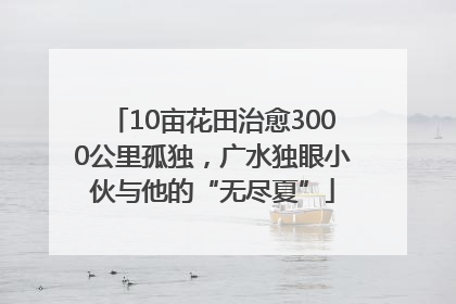 10亩花田治愈3000公里孤独，广水独眼小伙与他的“无尽夏”