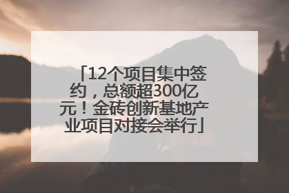 12个项目集中签约，总额超300亿元！金砖创新基地产业项目对接会举行