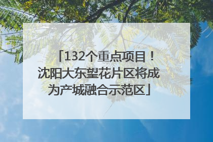 132个重点项目！沈阳大东望花片区将成为产城融合示范区