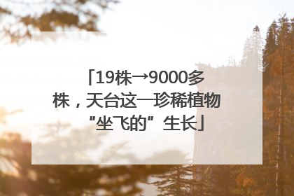 19株→9000多株，天台这一珍稀植物“坐飞的”生长