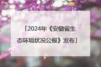 2024年《安徽省生态环境状况公报》发布