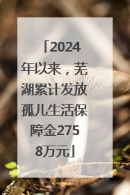 2024年以来，芜湖累计发放孤儿生活保障金2758万元