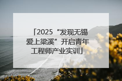 2025“发现无锡 爱上梁溪”开启青年工程师产业实训