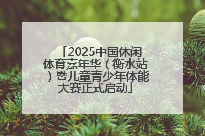 2025中国休闲体育嘉年华（衡水站）暨儿童青少年体能大赛正式启动