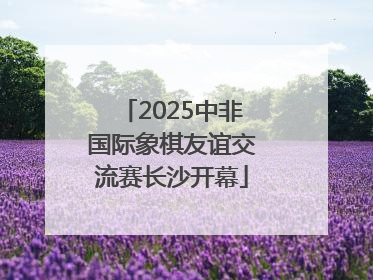 2025中非国际象棋友谊交流赛长沙开幕