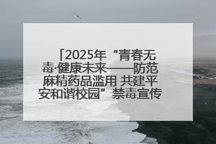 2025年“青春无毒·健康未来——防范麻精药品滥用 共建平安和谐校园”禁毒宣传专题活动在咸宁举行