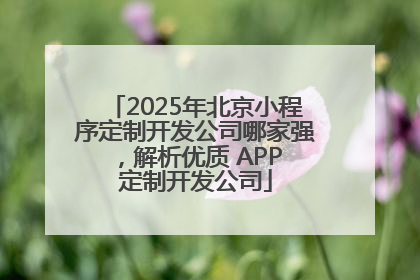 2025年北京小程序定制开发公司哪家强，解析优质 APP 定制开发公司