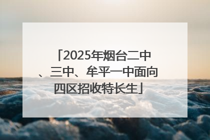 2025年烟台二中、三中、牟平一中面向四区招收特长生