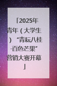 2025年青年（大学生）“青耘八桂·百色芒果”营销大赛开幕