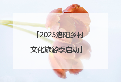 2025洛阳乡村文化旅游季启动