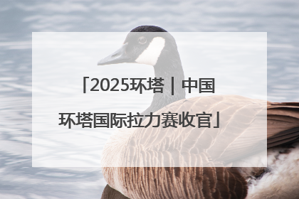 2025环塔｜中国环塔国际拉力赛收官
