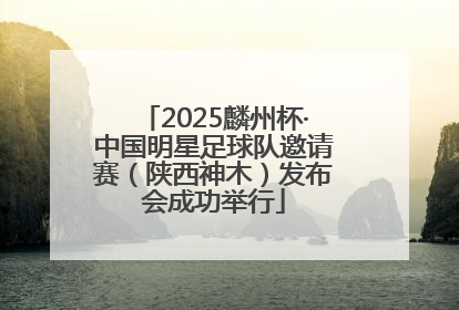 2025麟州杯·中国明星足球队邀请赛（陕西神木）发布会成功举行