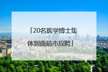 20名医学博士集体到曲靖市应聘