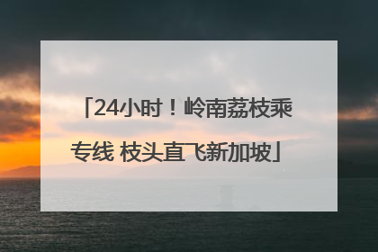 24小时！岭南荔枝乘专线 枝头直飞新加坡