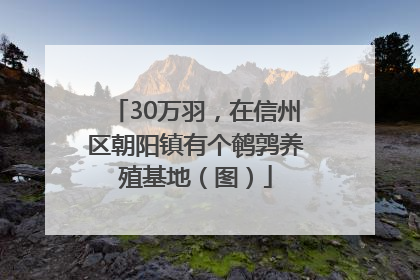 30万羽，在信州区朝阳镇有个鹌鹑养殖基地（图）