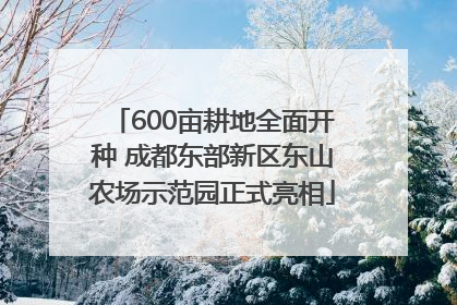 600亩耕地全面开种 成都东部新区东山农场示范园正式亮相