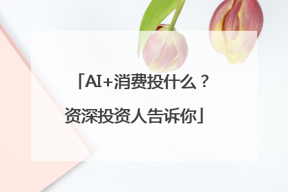 AI+消费投什么？资深投资人告诉你