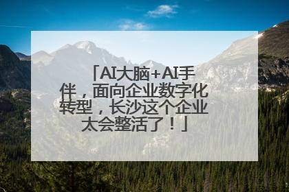 AI大脑+AI手伴，面向企业数字化转型，长沙这个企业太会整活了！